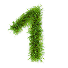 Grass number