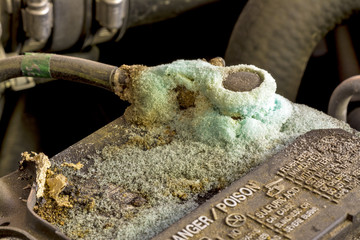 Battery terminal with corrosion on it