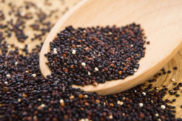 Black Quinoa grain