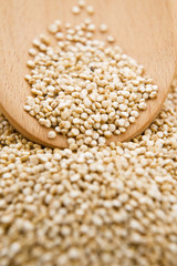 Quinoa grain