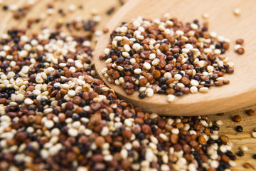 Tricolor quinoa grain