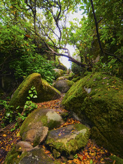 Obraz premium Park of Pena National Palace in Sintra