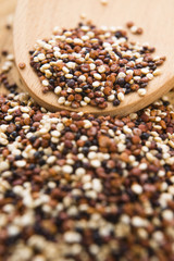 Tricolor quinoa grain