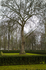Obraz premium Gardens of the Palace of Aranjuez, Madrid, Spain