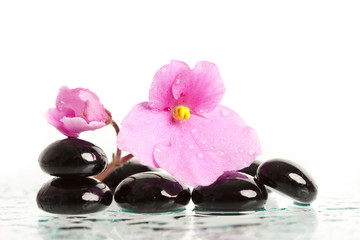 Naklejka na ściany i meble Spa treatment massage stones and pink flower
