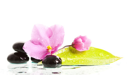 Obraz na płótnie Canvas Spa treatment massage stones and pink flower