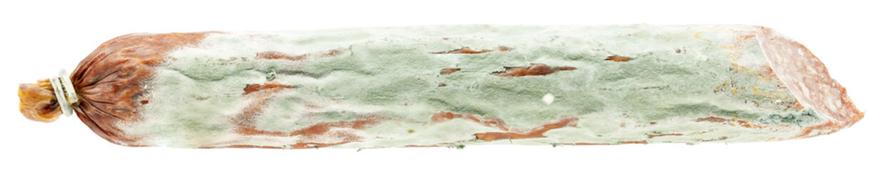 Isolated mouldy sausage