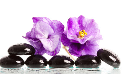 Spa treatment massage stones and violet flower