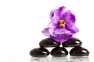 Spa treatment massage stones and violet flower