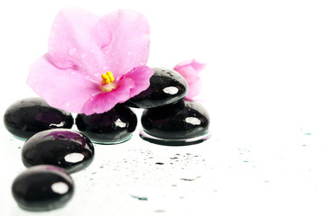 Fototapeta na wymiar Spa treatment massage stones and pink flower
