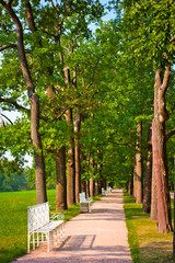 Obraz premium number of benches in the summer park