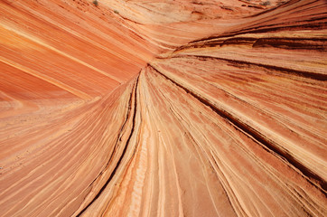 Paria Canyon-Vermilion Cliffs Wildnis, Arizona, USA