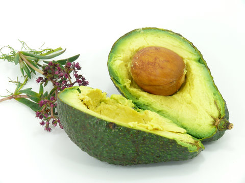 sorte  hass-avocado
