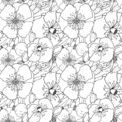 Vector pattern with poppies flowers, black-white