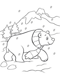 Polar Bear Coloring Book