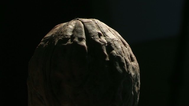 Rotating walnut