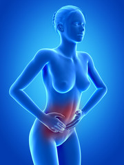 medical 3d illustration - woman having pain in the belly