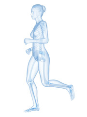 medical 3d illustration - jogging woman - visible skeleton