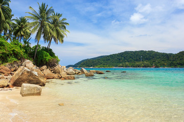 Sandy beach with coconut palms, Perhentian Island