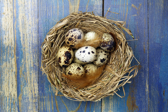 eggs in a nest on wooden background