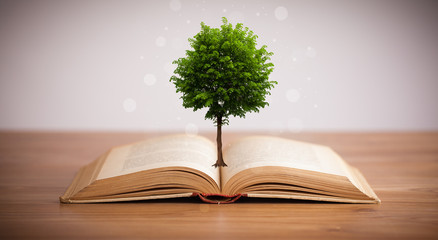 Tree growing from an open book