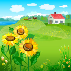 Fototapeta premium Beautiful natural landscapes