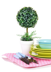 Clean dishes with flower isolated on white