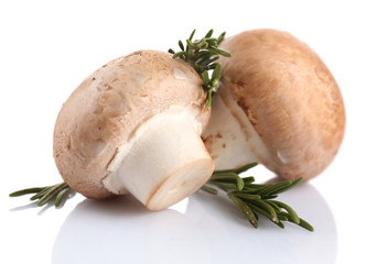 Fresh mushrooms isolated on white