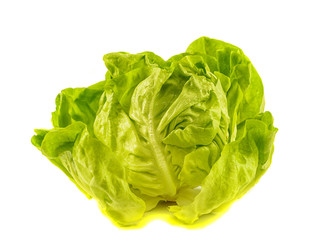 Fresh salad lettuce isolated on white