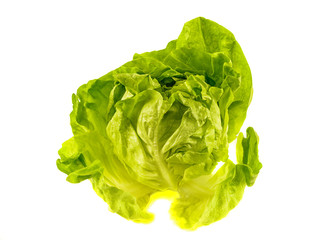 Fresh salad lettuce isolated on white