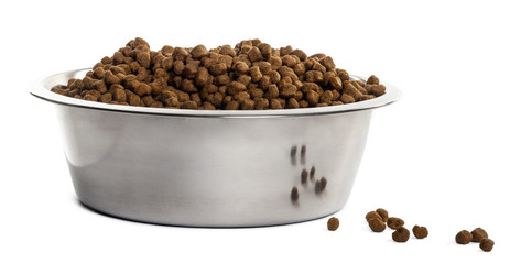 Dog bowl with croquettes full to the brim, isolated on white