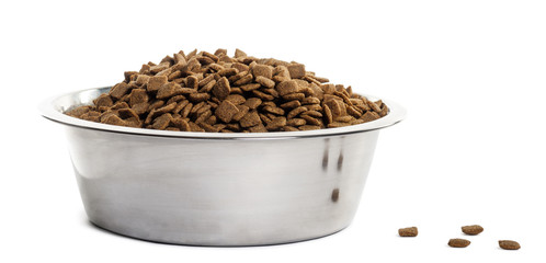 Dog bowl with croquettes full to the brim, isolated on white