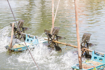 Water wheel