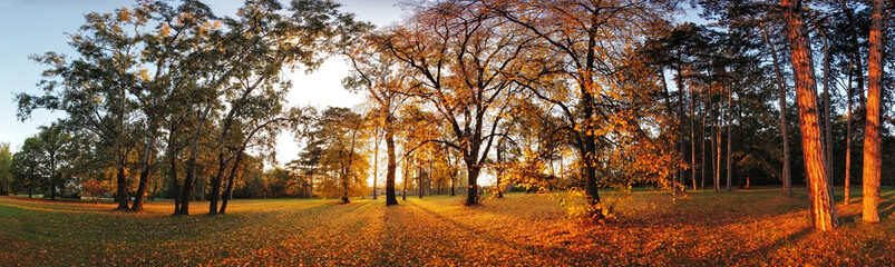 Autumn panorama in park