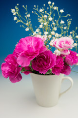 カーネーション