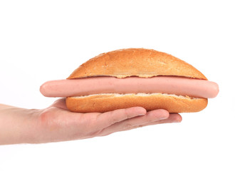 Hand holds big hotdog.