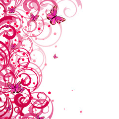 Colorful butterflies