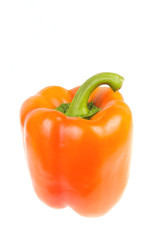 One orange pepper with green stem