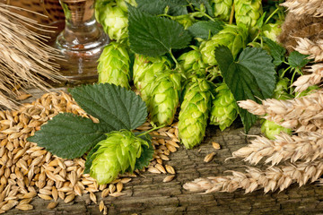 raw material for beer production