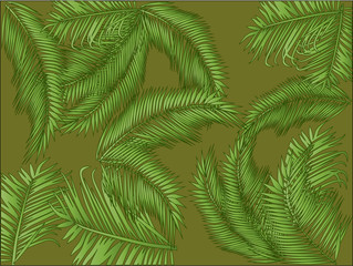 palm foliage on green background