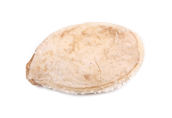 One dry pumpkin seed.