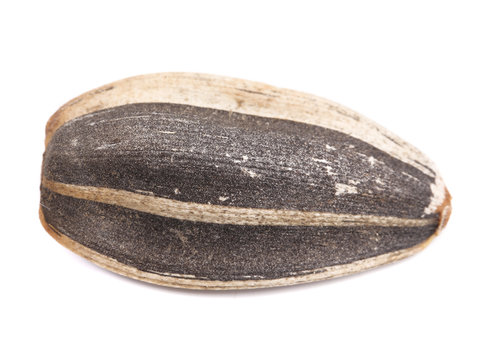 Black sonflower seed.