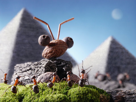ants sphinx and pyramiding, Ant Tales