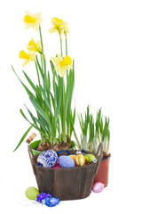 easter eggs with flowers in  pot