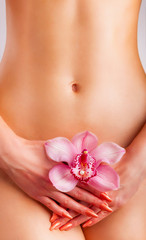 The female body
