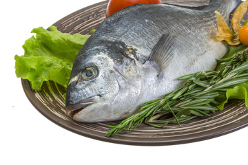 Raw dorado with herbs
