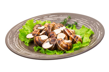 Escargot