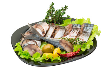 Mackerels