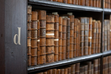 Shelves in The Long Roomin Trinity