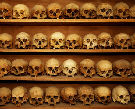 skulls on a shelf in the tomb